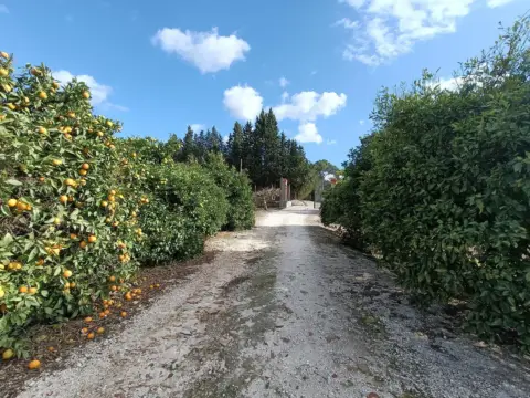 Finca rústica en Montealegre