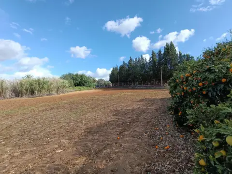 Finca rústica en Montealegre