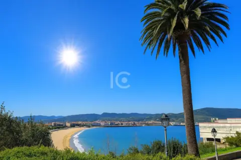 Piso en Avenida de Basagoiti