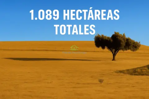 Terreno en Beja