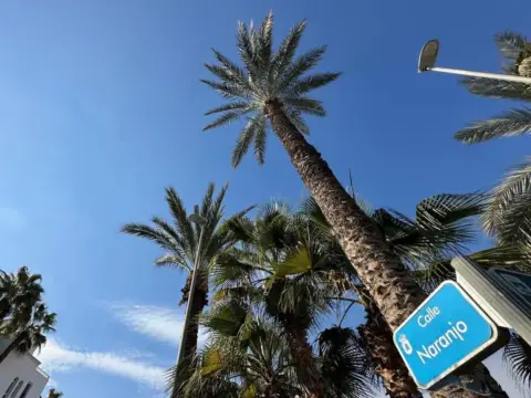 Chalet en Aguadulce Sur