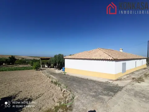 Chalet en Venta El Pavo
