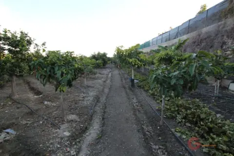 Finca rústica en Pago Deire