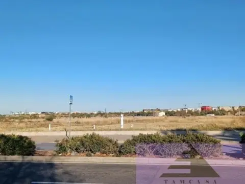 Terreno en calle Polígono 137 Parcela 189