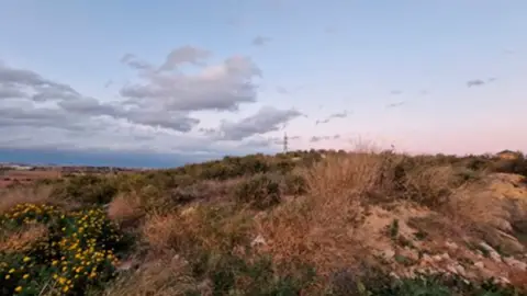 Terreno en calle Carrasca O los Guillenes