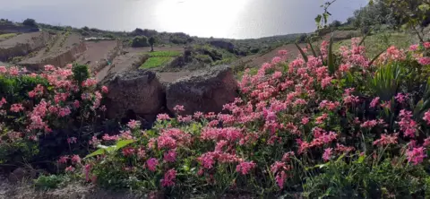 Casa rústica en Camino de la Montaña Abajo