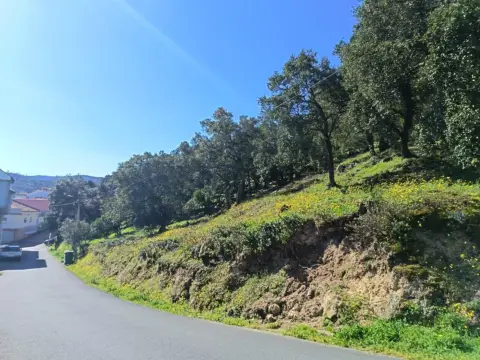 Terreno en calle Terrenos Piñeiral de Arriba