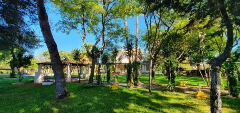 Casa en Avenida Medina Sidonia