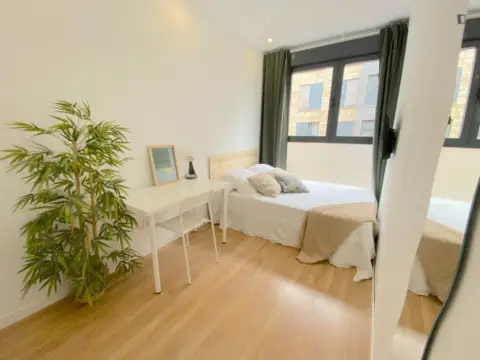 Habitación en Pío XII