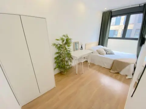 Habitación en Pío XII