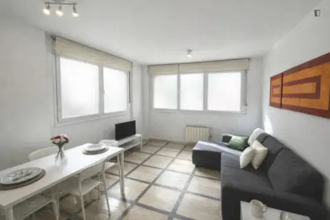 Estudio en Numancia