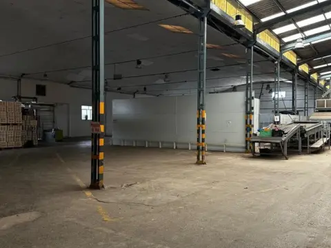 Nave industrial en Vereda de las Palmeras