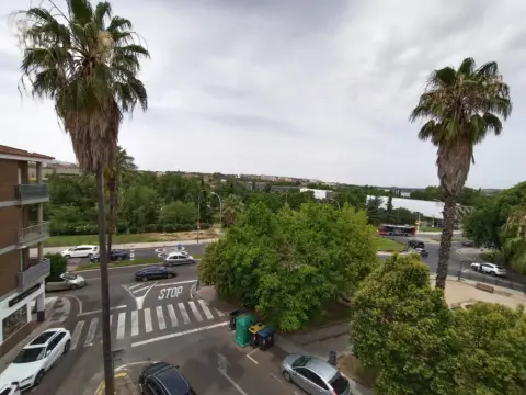 Pis – Mérida