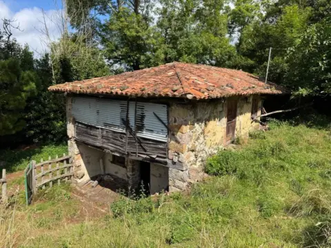 Finca rústica en La Cuenya (Infiesto)