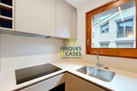 2-bedroom penthouse for rent in Canillo · 40 of 60