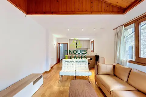 2-bedroom penthouse for rent in Canillo · 41 of 60
