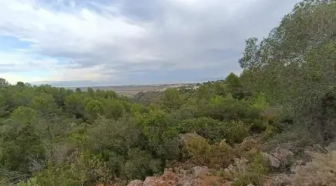 Finca rústica en Tosal de Les Colmenes
