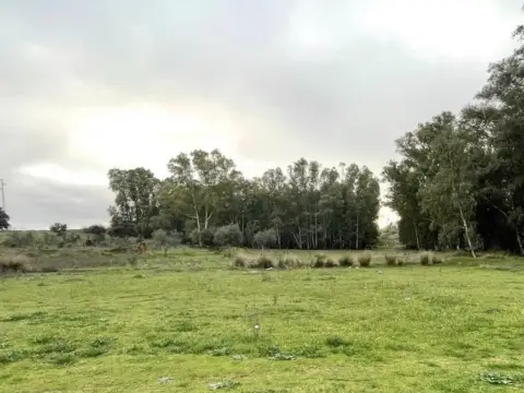 Finca rústica en Los Milagros-La Corchera