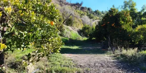 Terreno en calle Terrenos Rodriguez de La Borbolla