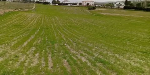 Terreno en calle Polígono Poligono