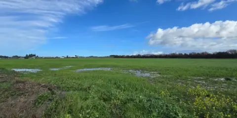 Terreno en calle Camino de Múnive - Reyerta