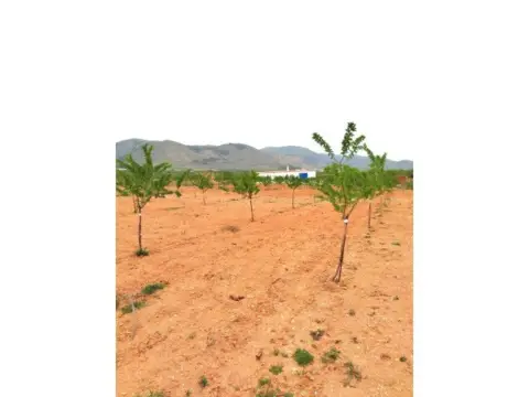 Finca rústica en El Canal