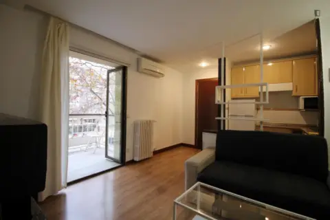 Estudio en Nueva España