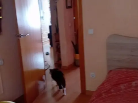 Habitación en Montbau