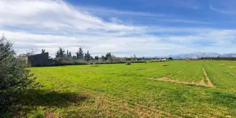 Casa rústica en calle Polígono Biniaco