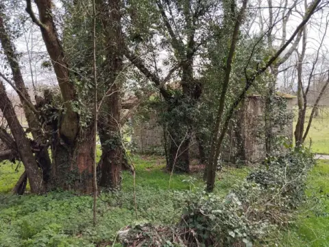 Casa en Nogueira de Ramuín