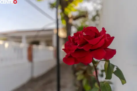 Casa en calle Padul