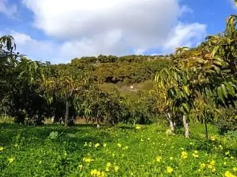 Terreno en calle Parcela El Molinillo