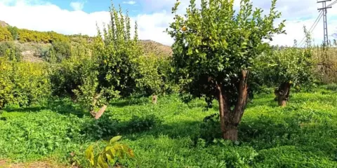 Terreno en calle Parcela El Molinillo