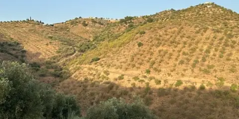 Terreno en calle Polígono Poligono 13