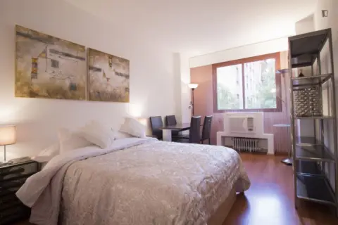 Estudio en Madrid Capital