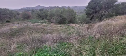 Terreno en Sangonera La Verde