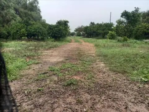 Terreno en Bollullos de la Mitación