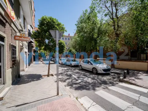 Estudio en Fuente del Berro