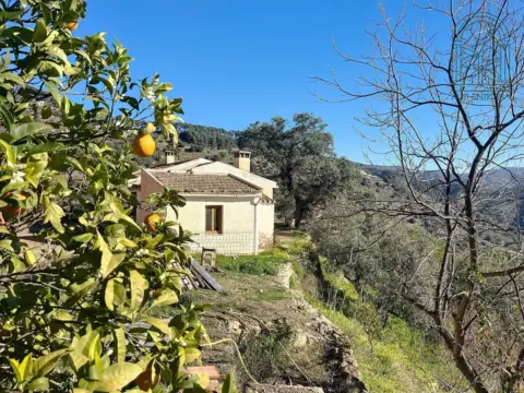 Finca rústica en Comares