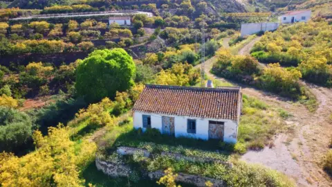 Casa rústica en Algarrobo