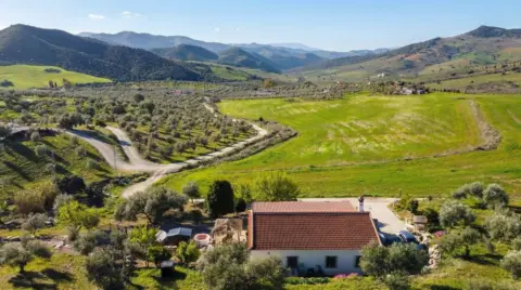 Finca rústica en Álora