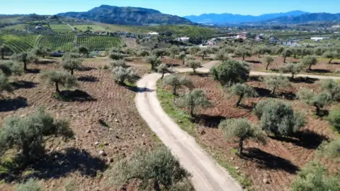 Terreno en Álora