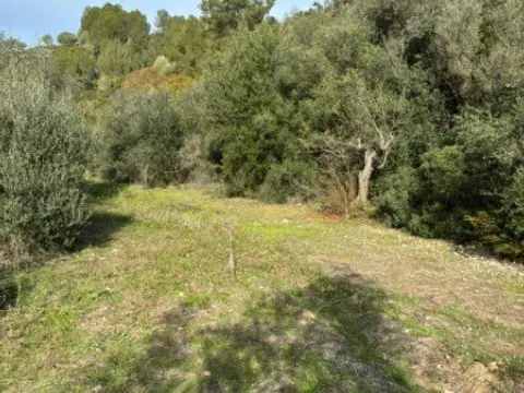 Finca rústica en calle calle