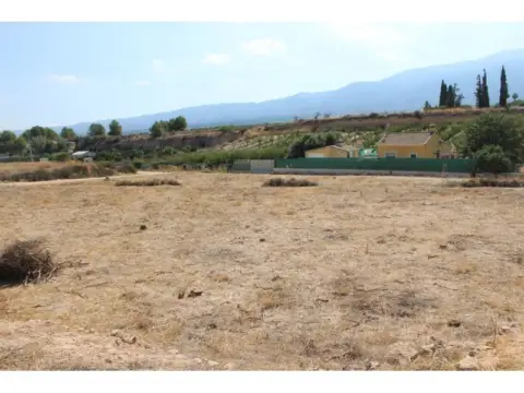 Terreno en calle Camino de Belen