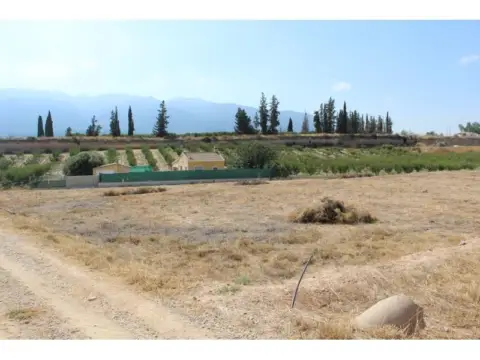 Terreno en calle Camino de Belen