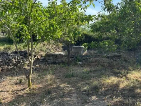 Finca rústica en calle Camí Coves Destruch