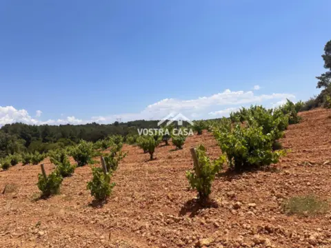 Finca rústica en Venta del Moro