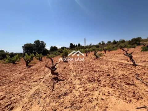 Finca rústica en Venta del Moro