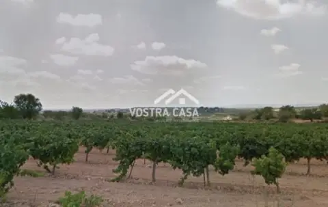 Finca rústica en Grao de Castellon
