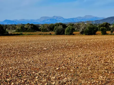 Terreno en Cales de Mallorca